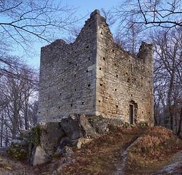 Restbestand vom 'Heidenturm' der Burg Wildon (Jänner 2020)