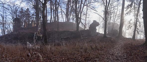 Die Überreste der Burganlage Neuwildon (Jänner 2020)