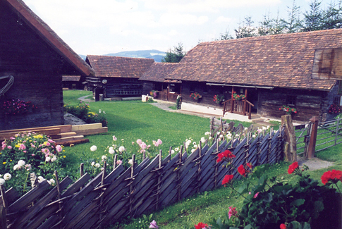 Essay Haus und Hof Hausforschung ABC zur Volkskunde Österreichs