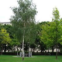 Foto: Doris Wolf, 2010; Sigmund-Freud-Park, EU-Baumkreis