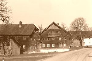 Münzkirchen_Ludham