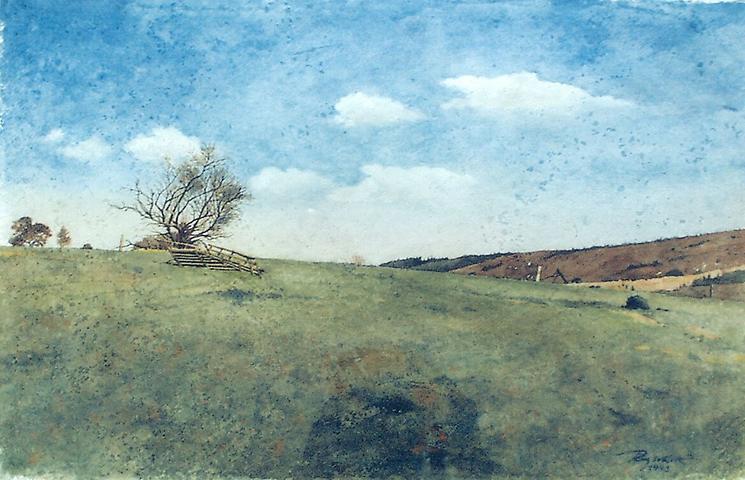 Bild 'Baum_in_der_Landschaft_1995-16_'