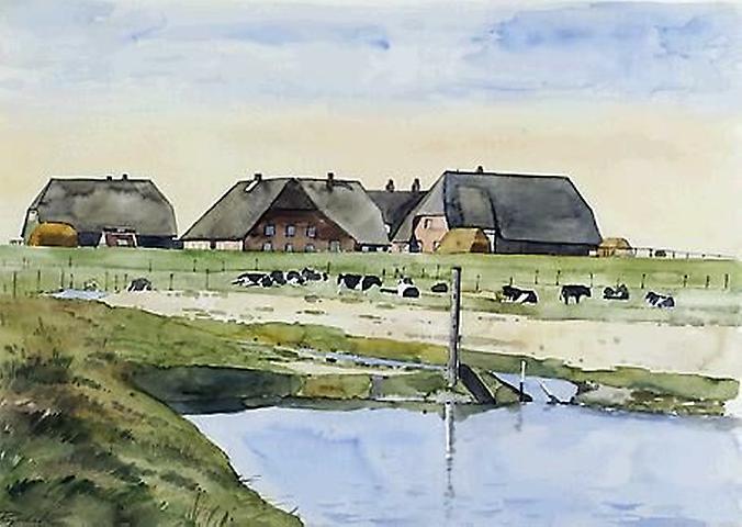 Bild 'Hallig_Hooge_1985-26_'