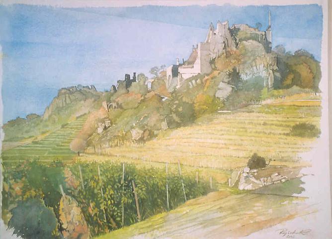 Bild 'Weinberge_vor_Ruine_Dürnstein_2002-07_'