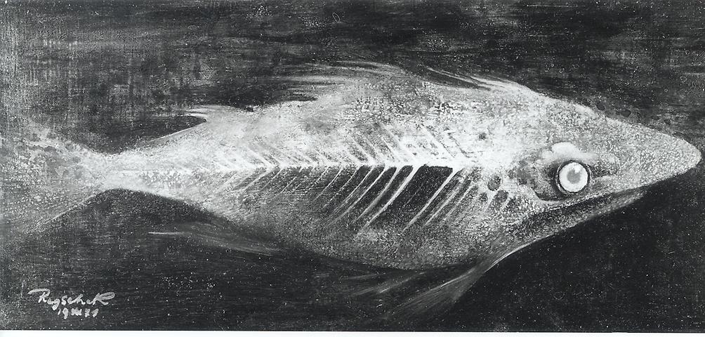 Bild 'Xyphophorus_(Aschenfisch)_1971-06_'
