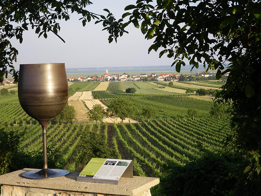 Blick auf Weinberge