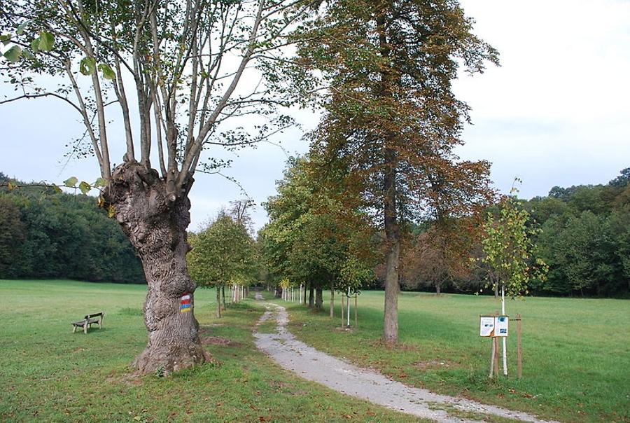 Mannersdorf an der Rabnitz - Naturpark