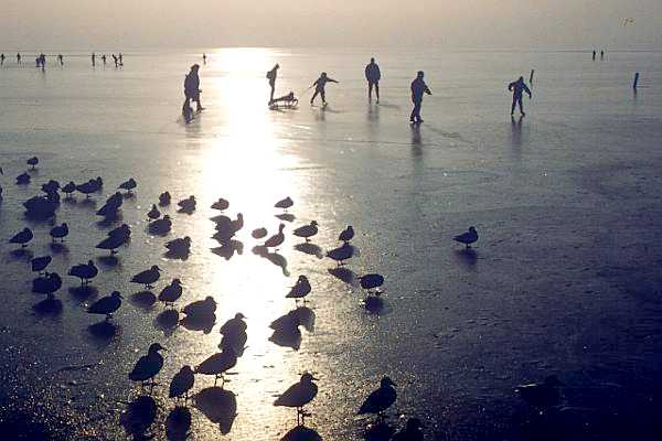Eisläufer auf dem Neusiedler See