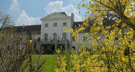 Schloss Potzneusiedl