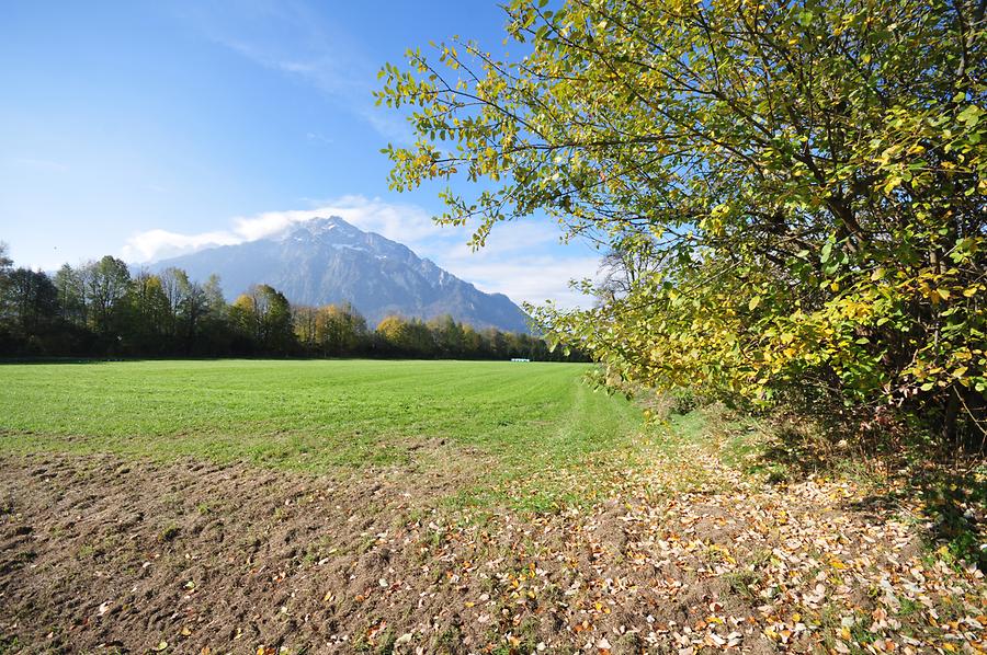 Untersberg - von Anif gesehen, Aus: WikiCommons Von: Ralf Roletschek