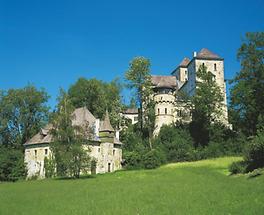 Schloss Fischhorn