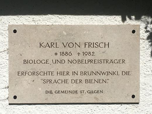 Brunnwinkl - Karl von Frisch-Gedenktafel