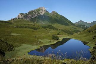 Zollnersee