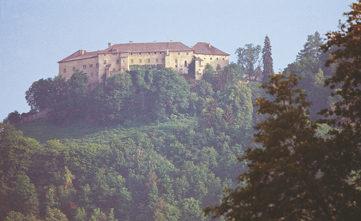 Schloss Hollenburg