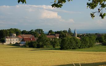 Schloss Brunn