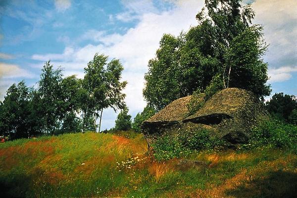 Findlinge (Granitblöcke bei Gmünd)