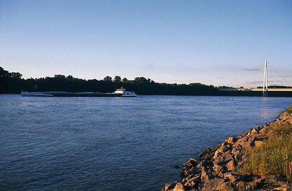 Donau bei Hainburg