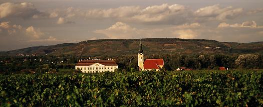 Weinschloss Gobelsburg