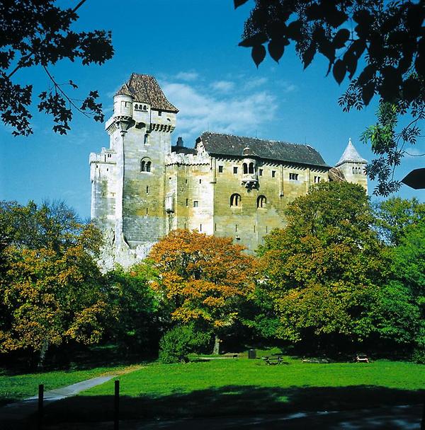 Burg Liechtenstein bei Mödling