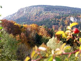 Hohe Wand