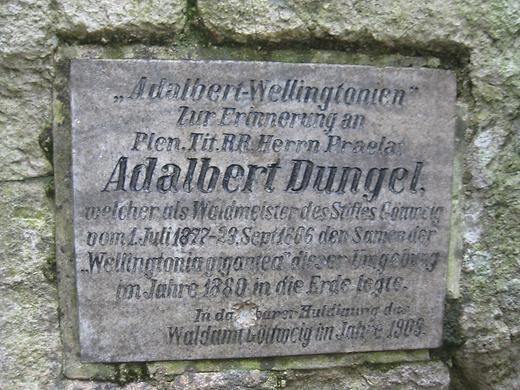 Adalbert Dungel-Gedenktafel