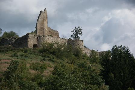 Ruine Ruttenstein in Pierbach