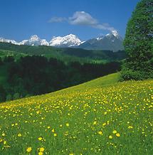 Vorderstoder - Totes Gebirge