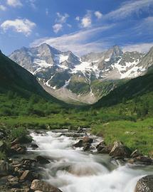 Zillertal - Grundschartner