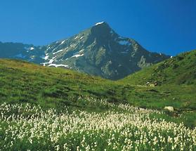 Sölden - Löplalm