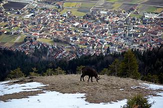 Blick auf den Ort