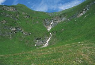 Tuxertal im Sommer