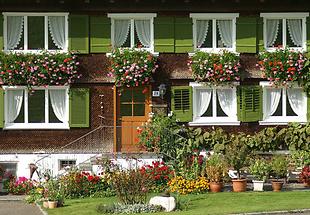 Blumenfenster