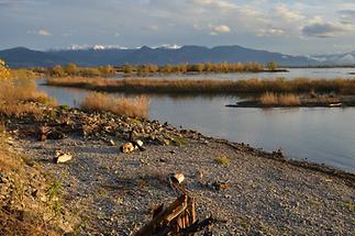 Lagune am Rheindelta