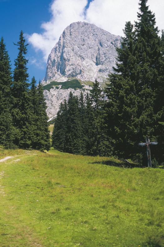 Admonter Kalbling. Foto: Österreich Werbung / Diejun