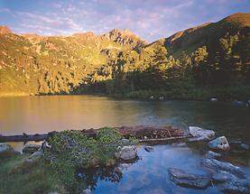 Scheibelsee