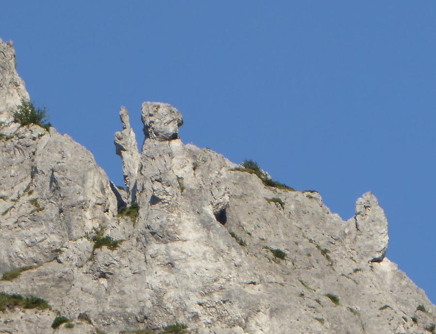 Nationalpark Gesäuse, Versteinerter Schulmeister