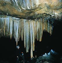 Tropfsteine (Lurgrotte)