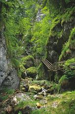 Bärenschützklamm