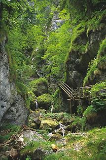 Bärenschützklamm 