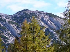 Früher Herbst 