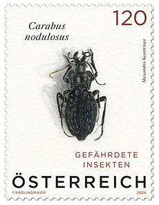 Briefmarke, Käfer – Carabus nodulosus