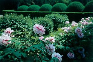 Formaler Bereich im Schlossgarten von Eckartsau. Photographie. 2000., © IMAGNO/Gerhard Trumler