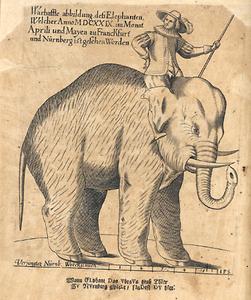 Zeitgenössische Darstellung des Elefanten, der 1629 Frankfurt, Nürnberg und auch Graz besuchte