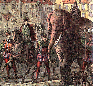 Elefant-in-Wien