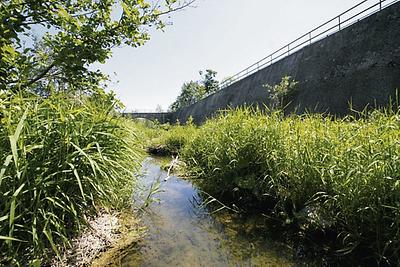 die Wien beim Rückhaltebecken Auhof-Hadersdorf