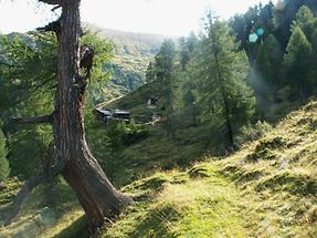 Karteisalmhütte-Gurenstein