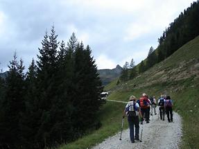 Auf dem Weg zur Viehhausalm