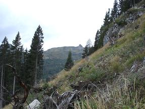 Blick auf Schied-Hochalm und Schiedreitspitz