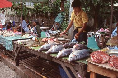 Mekong