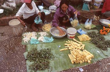 Mekong